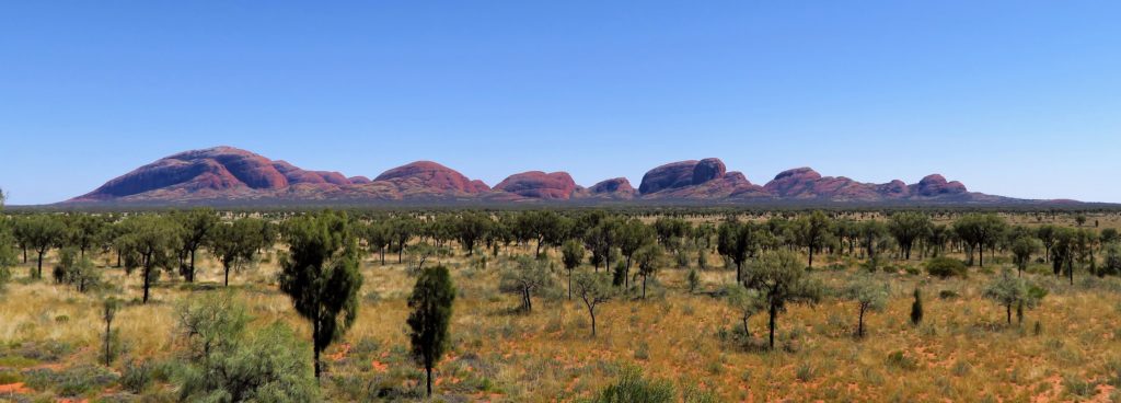 Massif de dômes d'arkoses en inselbergs situés dans le parc national d'Uluṟu-Kata Tjuṯa, 365 km au sud-ouest d'Alice Springs