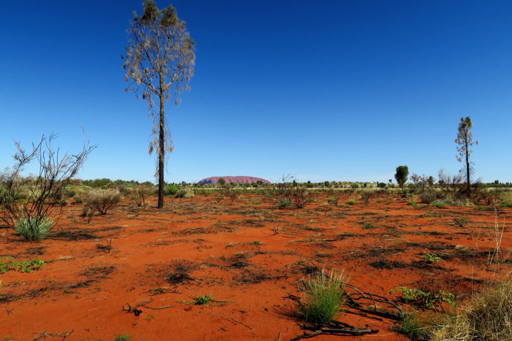 Des milliers de couleurs saturent les multiples paysages de ce merveilleux pays.