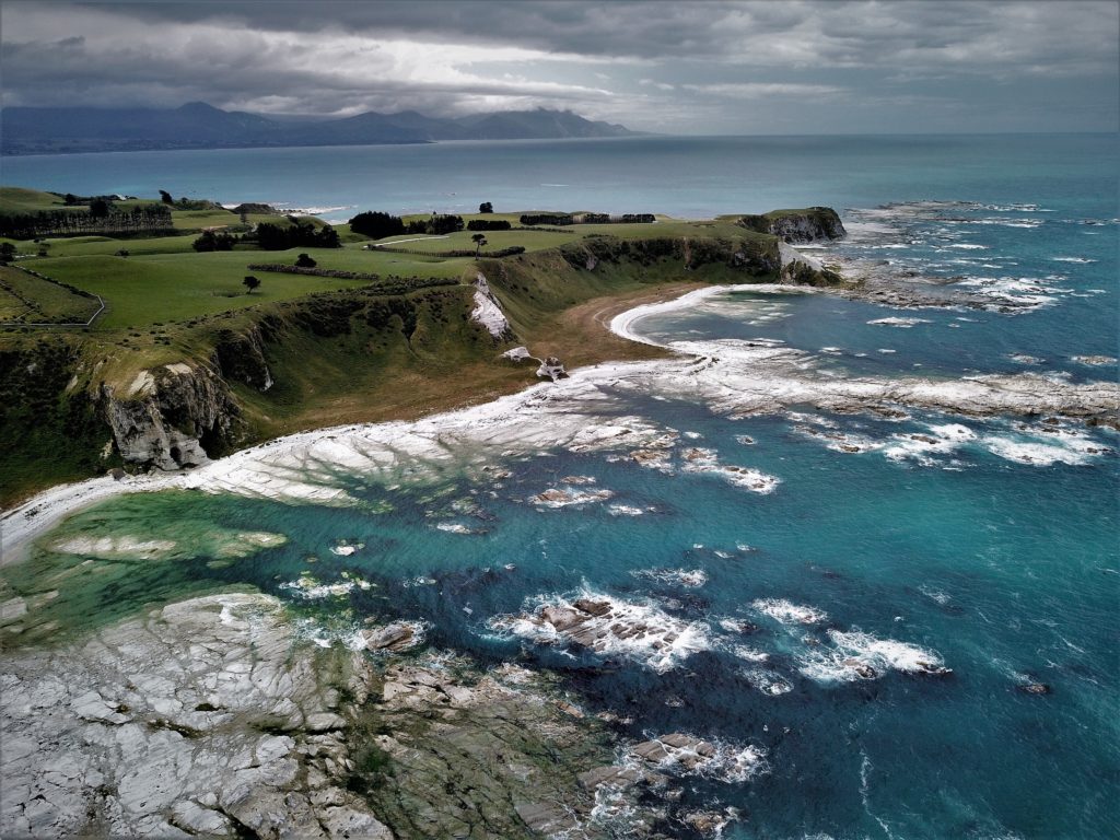 Côte de Nouvelle Zélande peuplée de baleines, dauphins et autres phocidés.